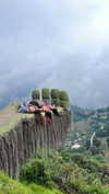hagarschubert Altpins Profile Picture
