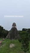 hagarschubert Altpins Profile Picture