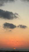 hagarschubert Altpins Profile Picture
