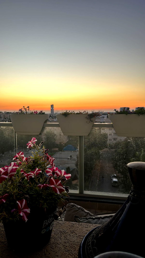 hagarschubert instagram image archive image