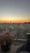 hagarschubert Altpins Profile Picture