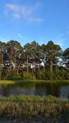 hagarschubert Altpins Profile Picture