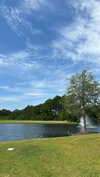 hagarschubert Altpins Profile Picture