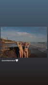 haileyy.ramirez Altpins Profile Picture