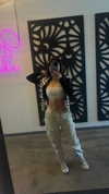 hani_mamo Altpins Profile Picture