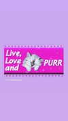 hellowkitty4ever Altpins Profile Picture