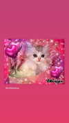 hellowkitty4ever Altpins Profile Picture