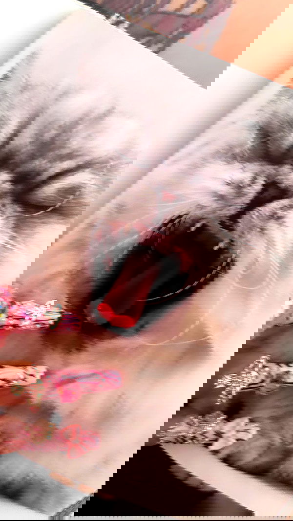 hellowkitty4ever hellowkitty4ever archive image