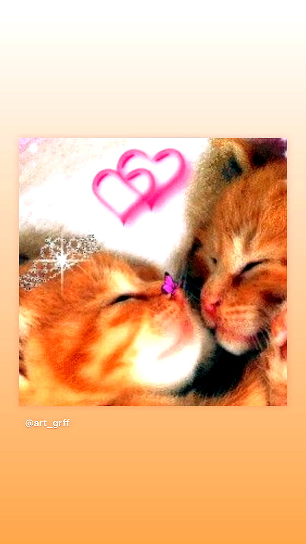 hellowkitty4ever instagram image archive image
