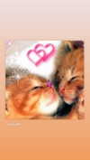 hellowkitty4ever Altpins Profile Picture