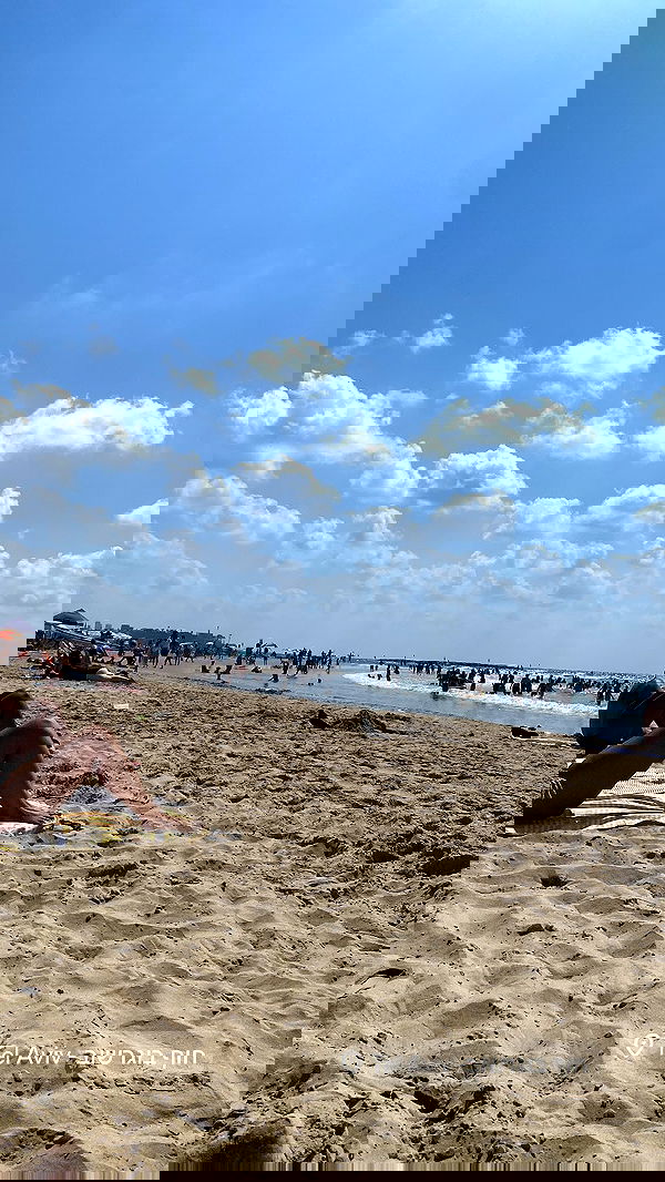 holllly.molly holllly.molly archive image