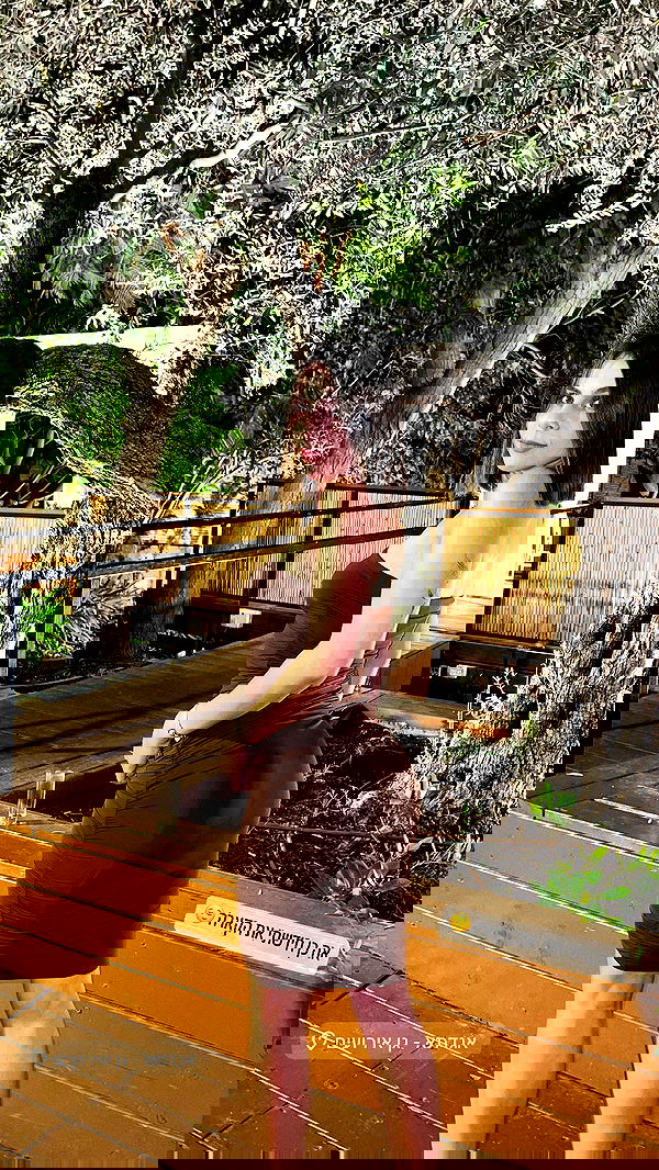 holllly.molly holllly.molly archive image