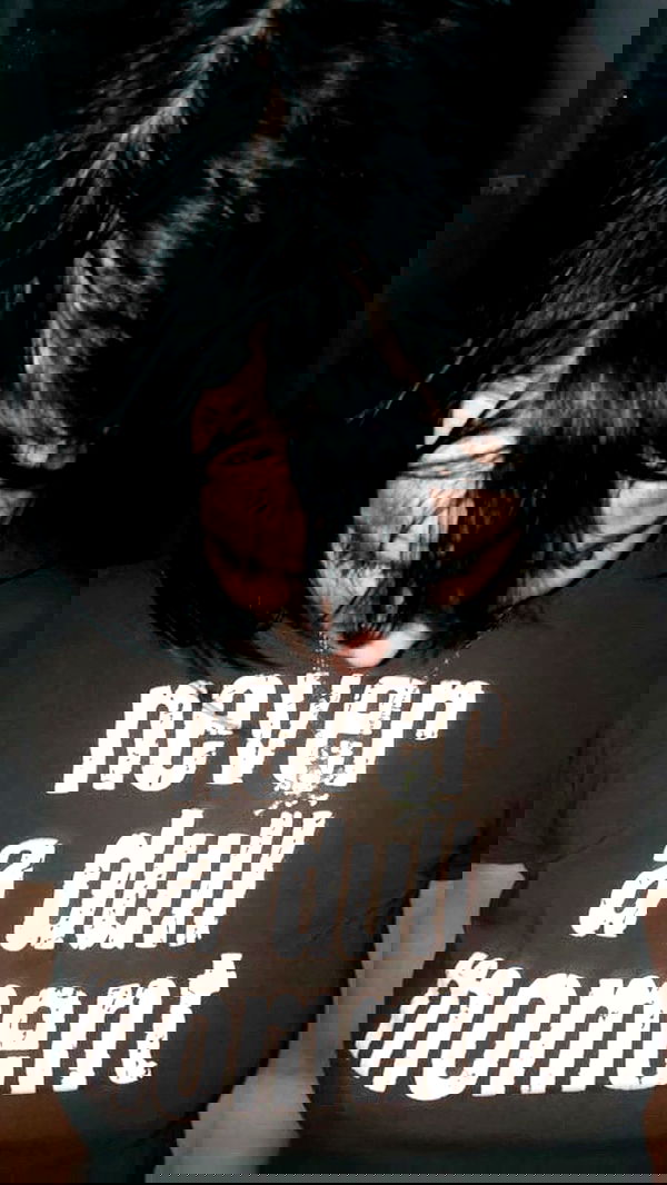 iheartpidge iheartpidge archive image