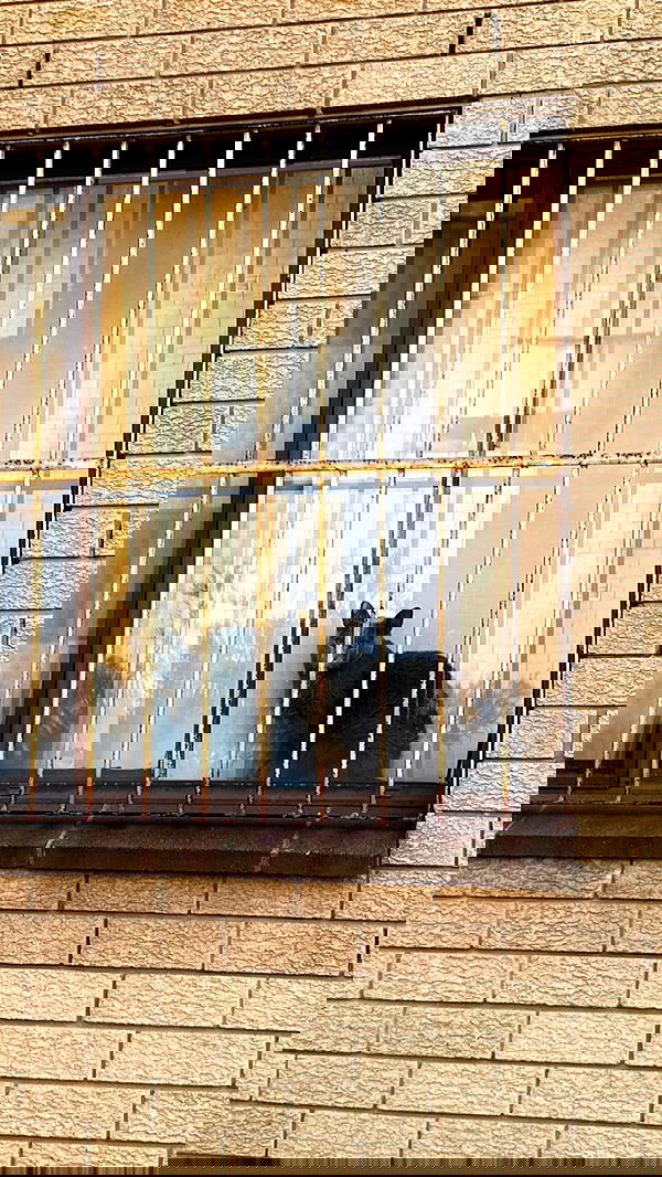 iheartpidge iheartpidge archive image