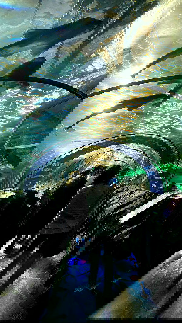 iheartpidge iheartpidge archive image