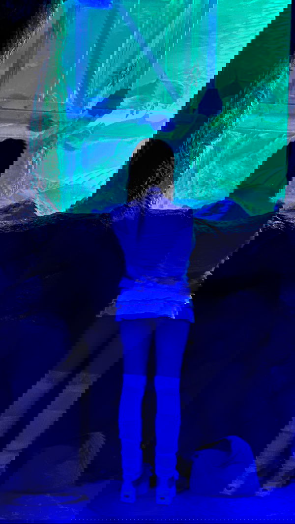 iheartpidge iheartpidge archive image