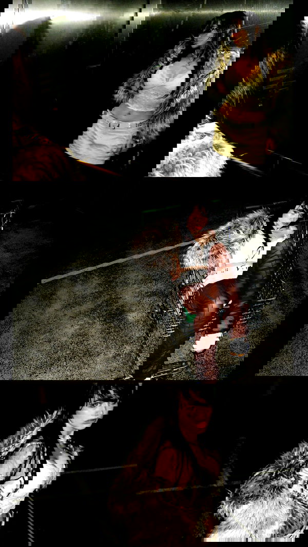 iheartpidge iheartpidge archive image