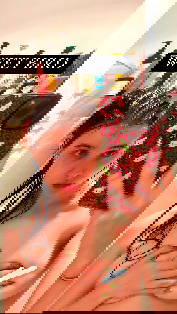 iheartpidge iheartpidge archive image