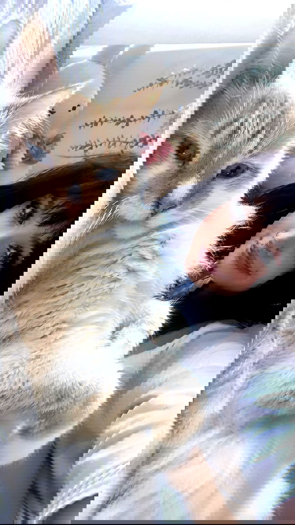 iheartpidge iheartpidge archive image