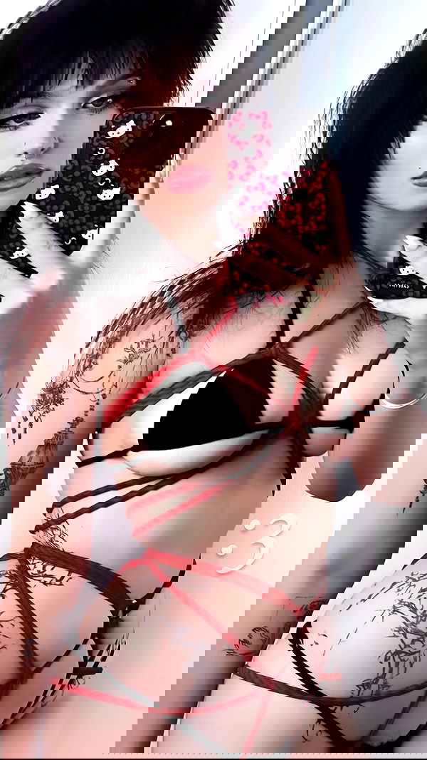 iheartpidge iheartpidge archive image