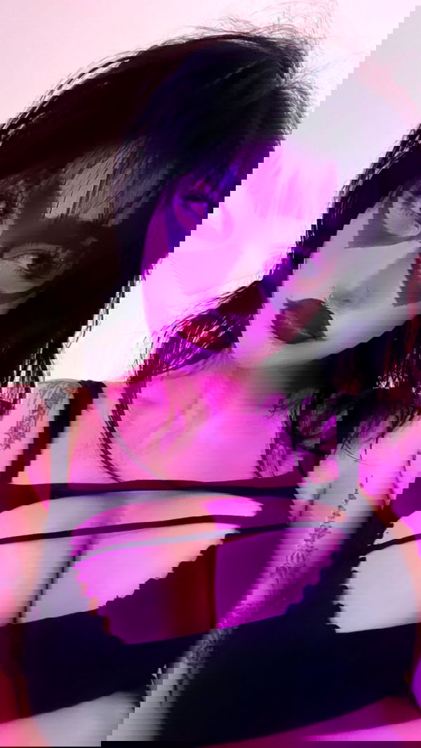 iheartpidge iheartpidge archive image