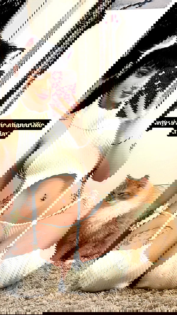 iheartpidge iheartpidge archive image