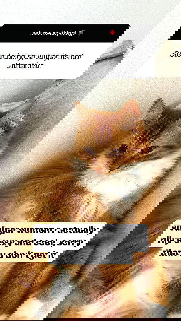 iheartpidge iheartpidge archive image