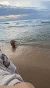 ilana_kotlovker Altpins Profile Picture