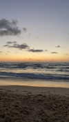 ilana_kotlovker Altpins Profile Picture