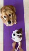ilana_kotlovker Altpins Profile Picture