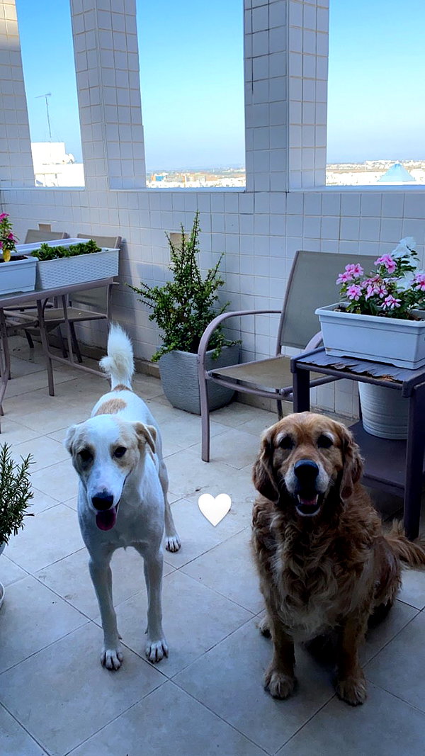 ilana_kotlovker instagram image archive image