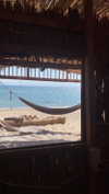 ilana_kotlovker Altpins Profile Picture