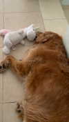 ilana_kotlovker Altpins Profile Picture