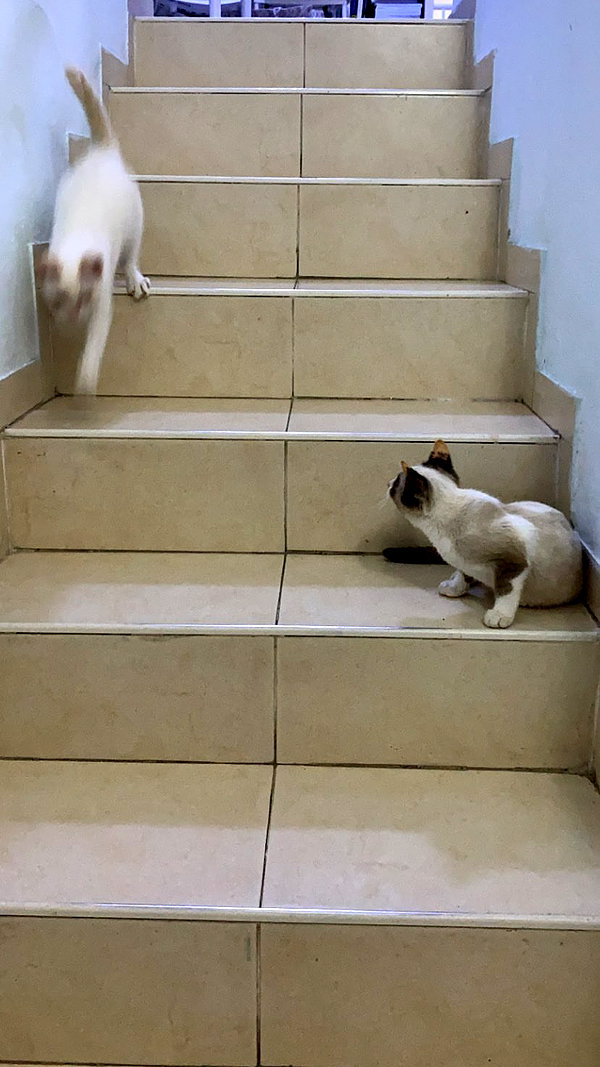 ilana_kotlovker instagram image archive image