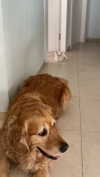 ilana_kotlovker Altpins Profile Picture