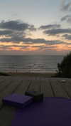 ilana_kotlovker Altpins Profile Picture