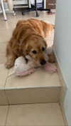 ilana_kotlovker Altpins Profile Picture