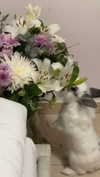 ilana_kotlovker Altpins Profile Picture