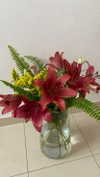 ilana_kotlovker Altpins Profile Picture