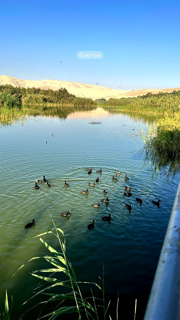 ilanakaver instagram image archive image