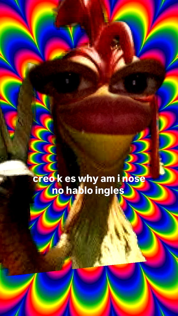 iljfgigi instagram image archive image