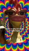 iljfgigi Altpins Profile Picture
