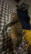 iljfgigi Altpins Profile Picture
