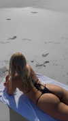 indigorose__ Altpins Profile Picture