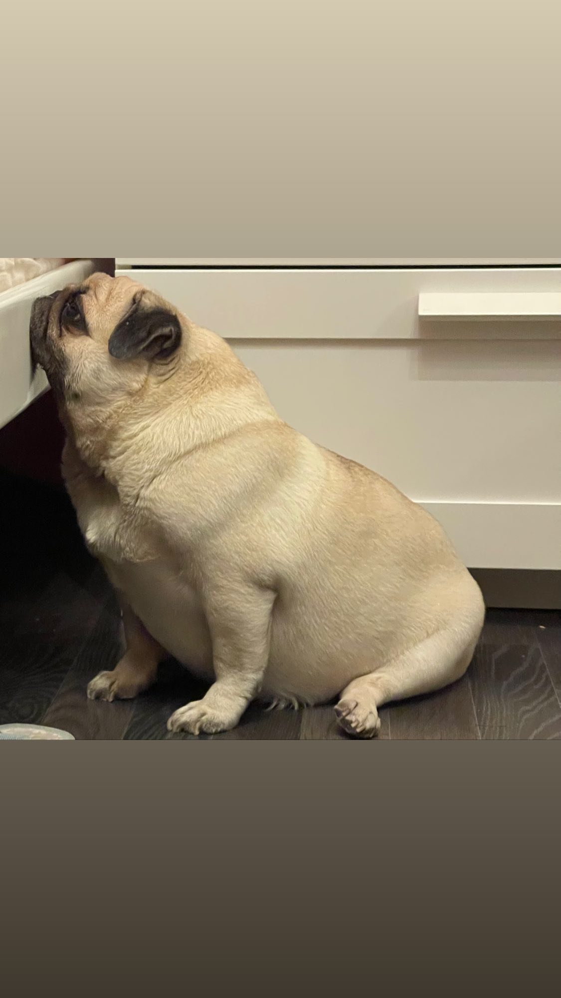 ira_dash_ instagram image archive image