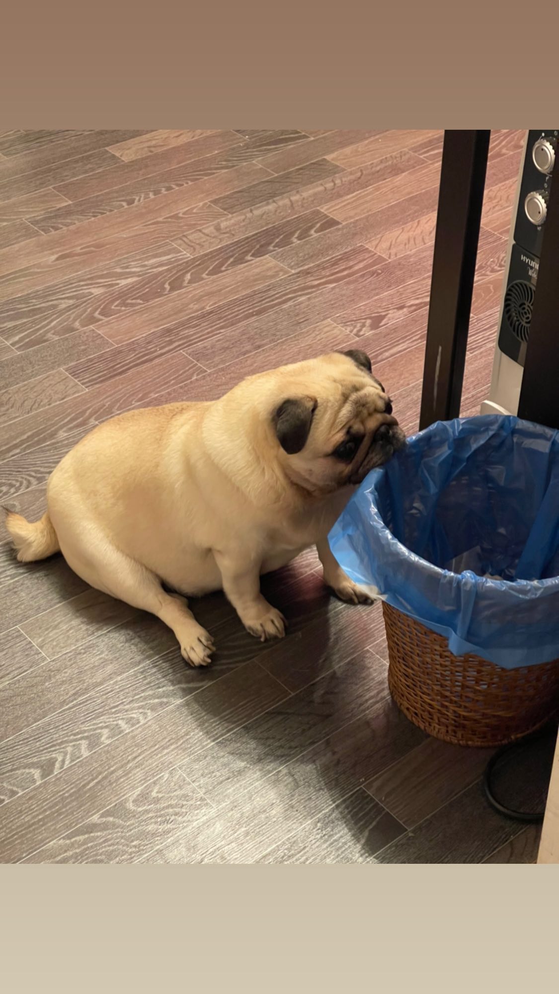 ira_dash_ instagram image archive image