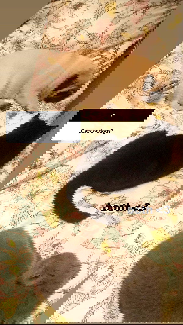 ira_dash_ image ~ Altpins