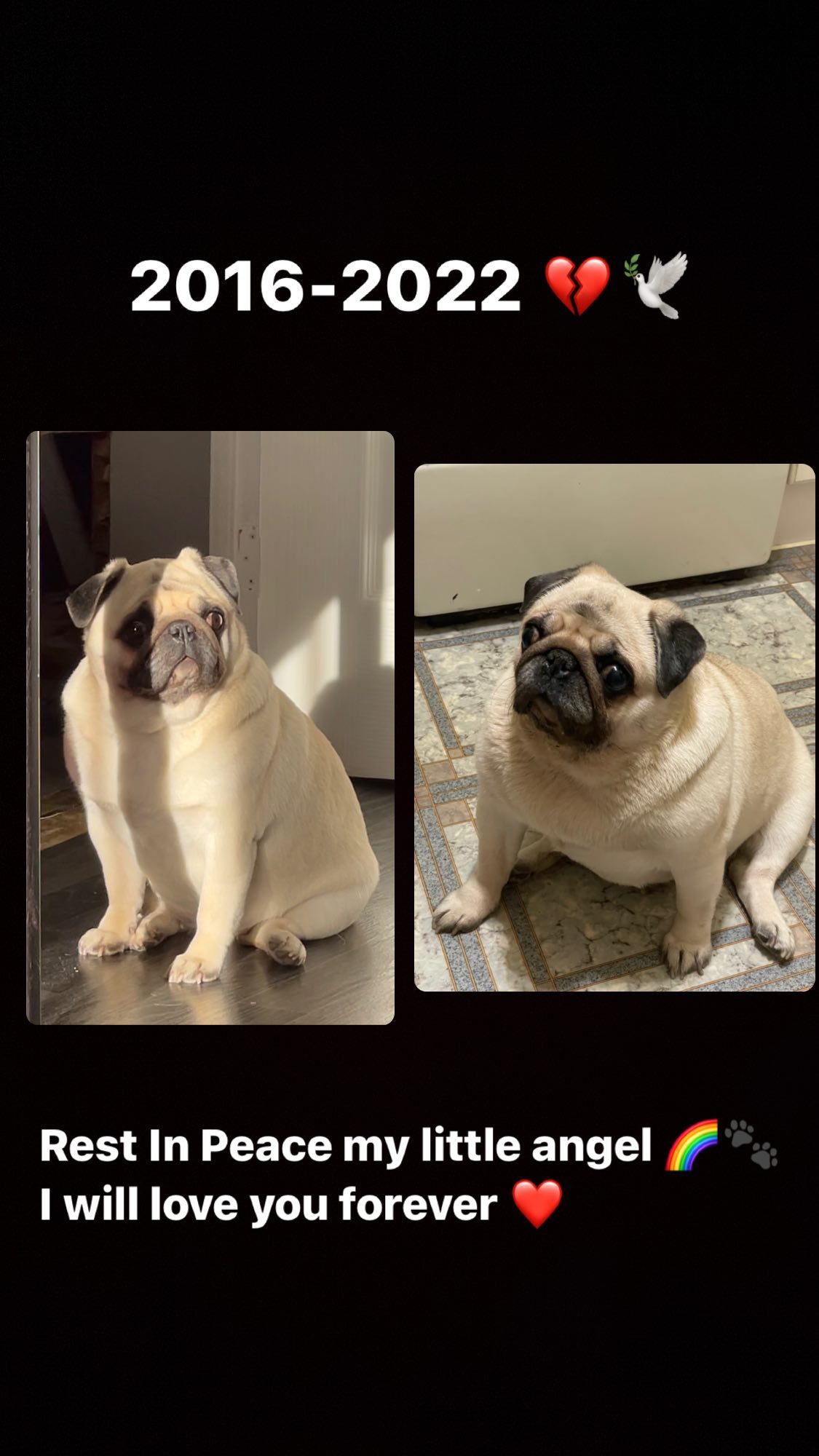 ira_dash_ instagram image archive image