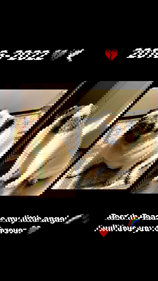 ira_dash_ image ~ Altpins