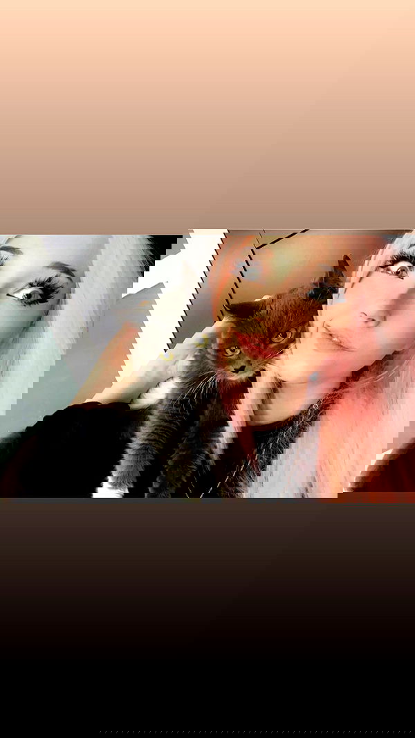 ira_dash_ image ~ Altpins